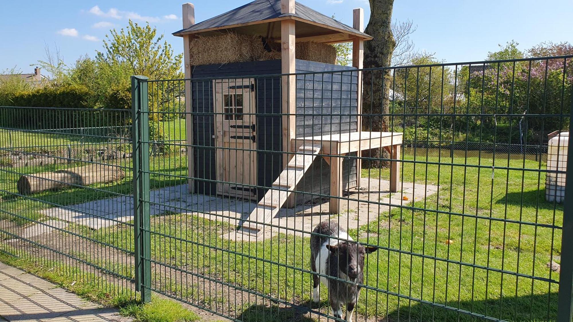 Luxe Zomerwoning Met Omheinde Tuin Voor Hond En Kinderen Dirkshorn Exterior foto