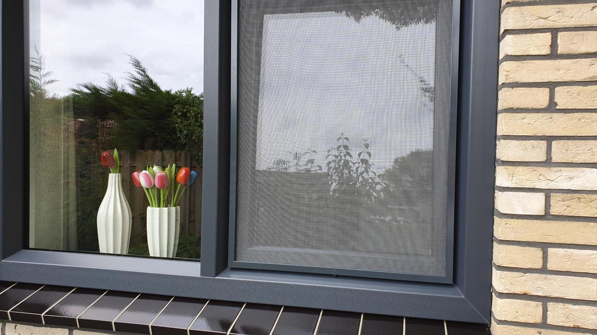 Luxe Zomerwoning Met Omheinde Tuin Voor Hond En Kinderen Dirkshorn Exterior foto